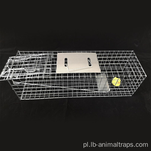 Chipmunks Cage Pułapki o średnicy drutu 2,0 mm